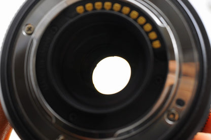 [TOP MINT Hood] Olympus M.Zuiko ED 12-200mm f/3.5-6.3 MSC Micro 4/3 Japan